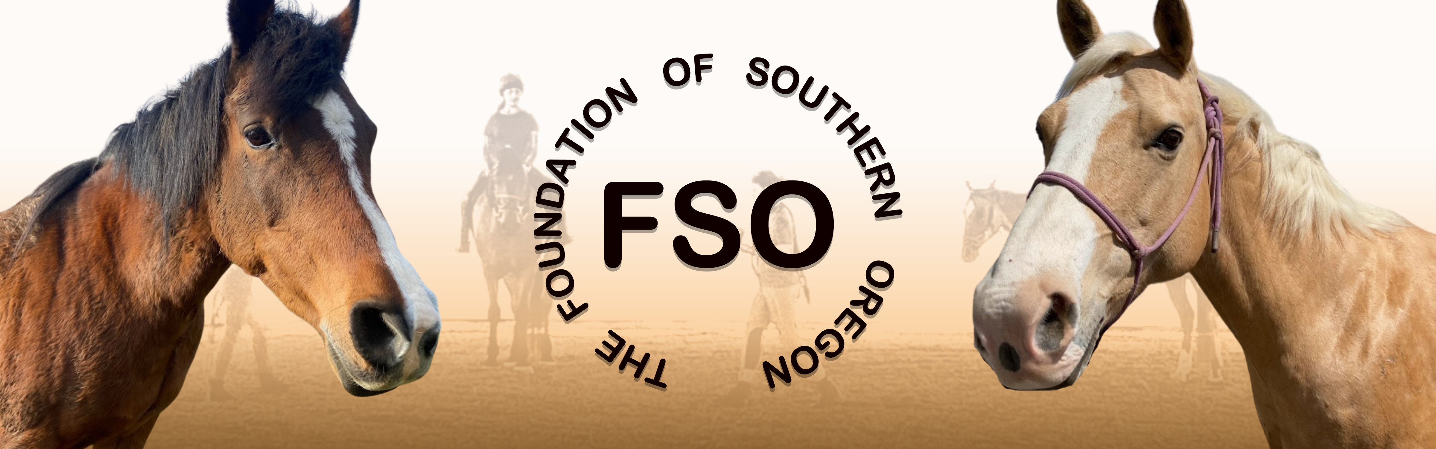 FSO Web Banner